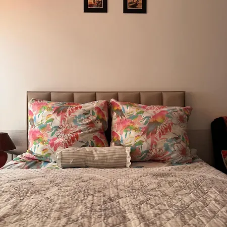 Marino Guest house *
