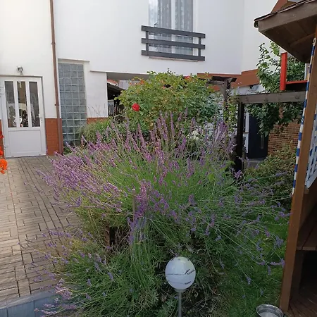 Penzion Marino